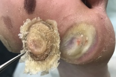 160042276160400
